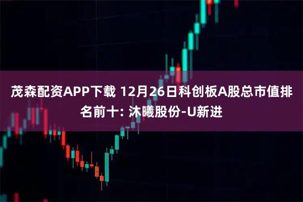 茂森配资APP下载 12月26日科创板A股总市值排名前十: 沐曦股份-U新进
