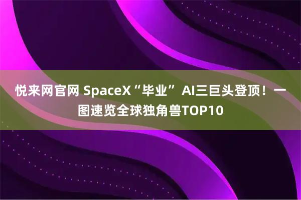 悦来网官网 SpaceX“毕业” AI三巨头登顶！一图速览全球独角兽TOP10